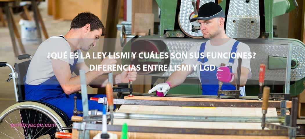 qué es la ley LISMI