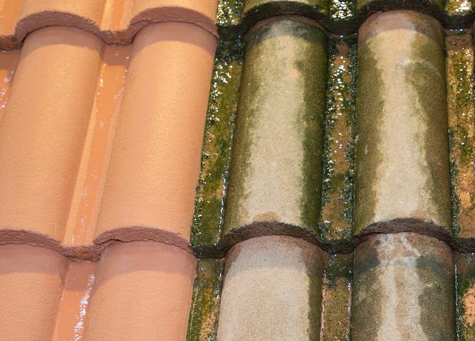 cómo limpiar el tejado