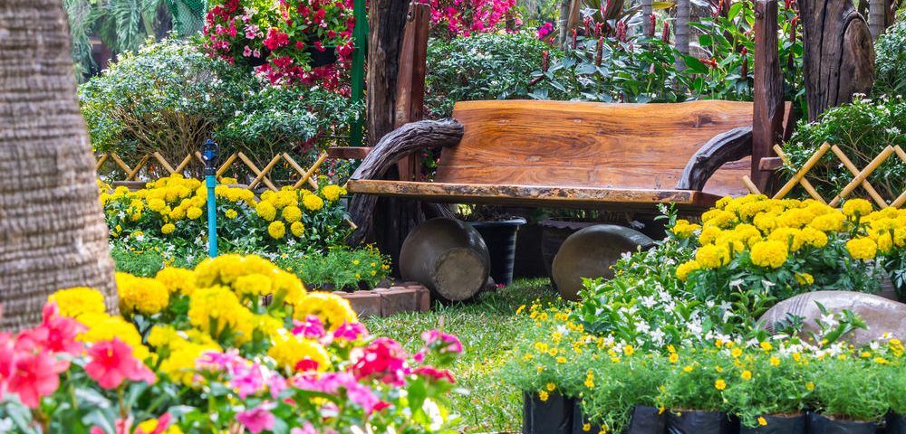 cómo limpiar el jardín