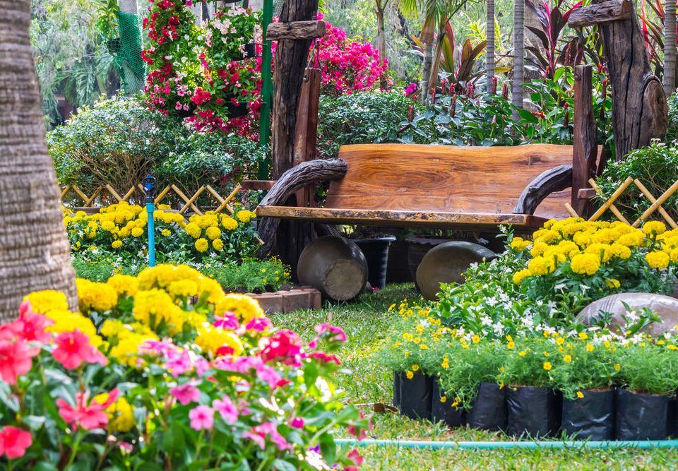 cómo limpiar el jardín