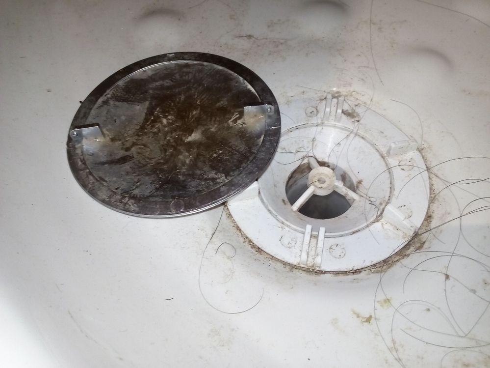 cómo limpiar pelo del desagüe de la ducha