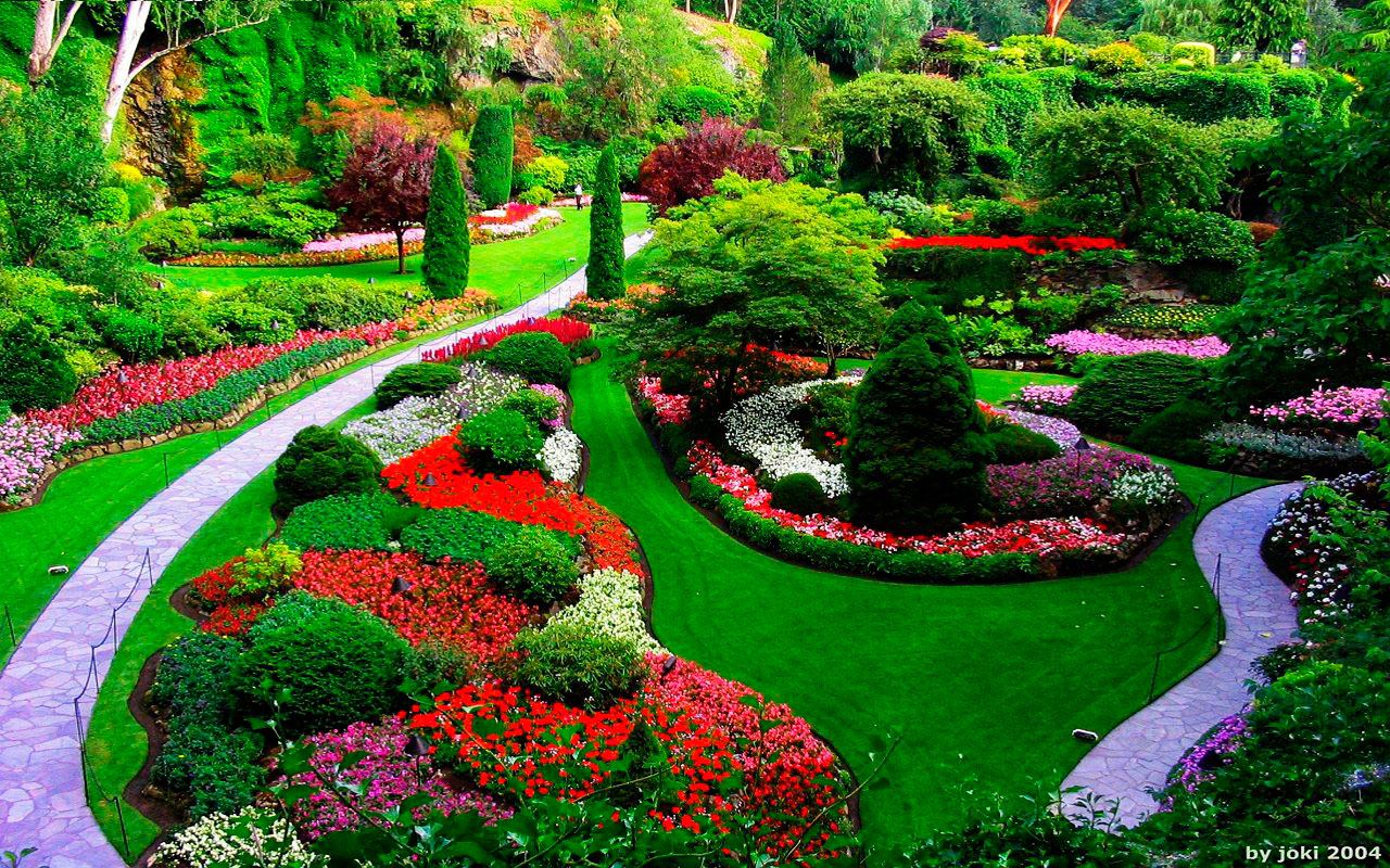 cómo limpiar el jardín