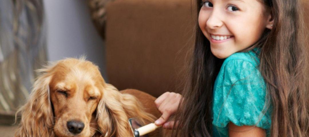 Cómo limpiar los pelos de perro