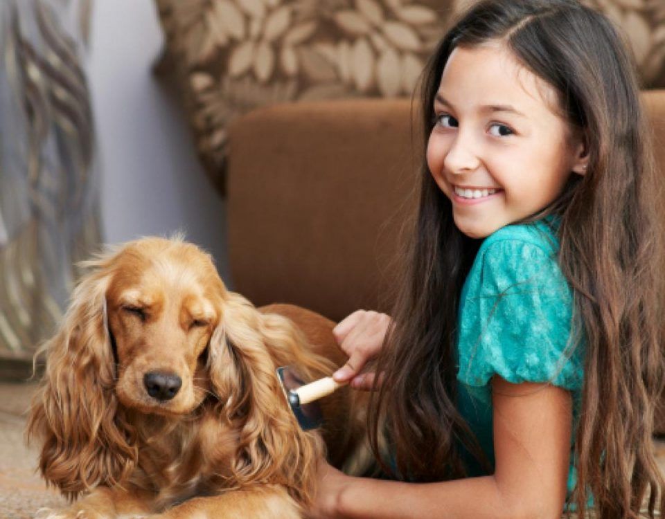 Cómo limpiar los pelos de perro