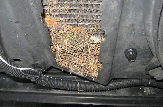 cómo limpiar un radiador