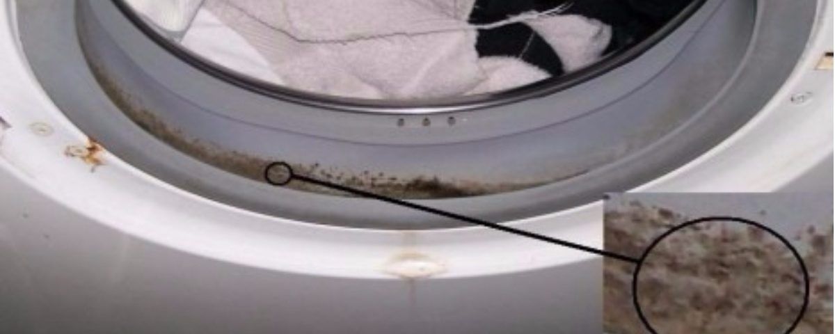 cómo limpiar la goma de la lavadora