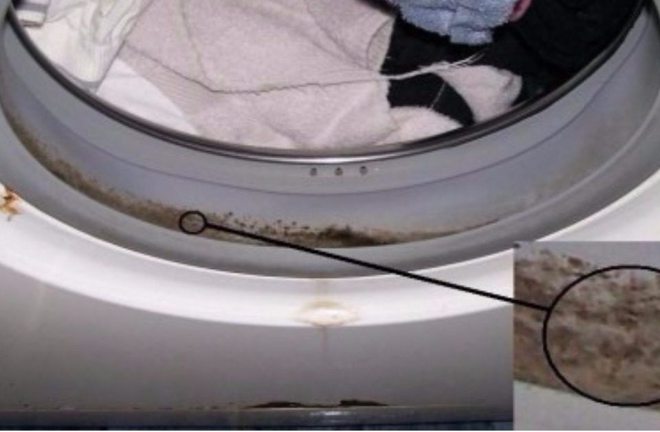 cómo limpiar la goma de la lavadora