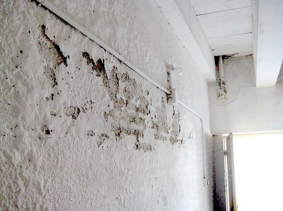 Cómo limpiar la humedad de las paredes