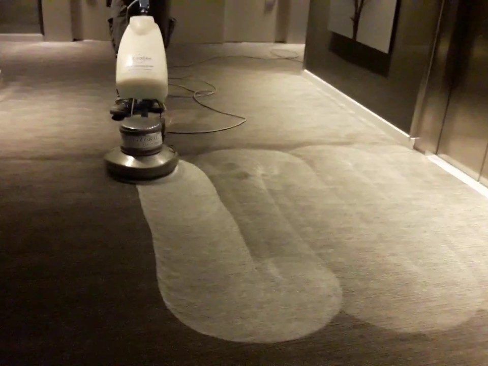 Cómo limpiar moqueta