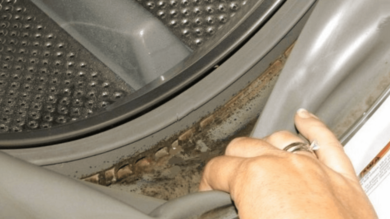 Cómo limpiar goma lavadora