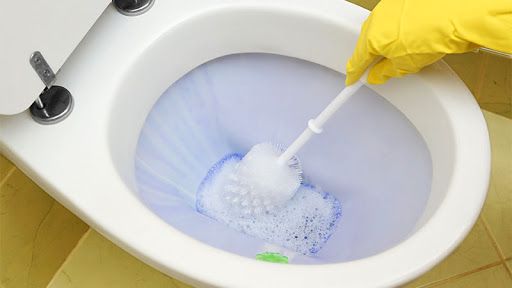 Cómo limpiar wc
